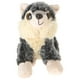 Giftable World A00058 7 Po Peluche Grands Yeux Accroupi Loup – image 1 sur 1