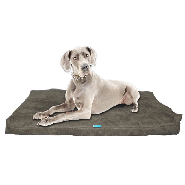 Five Diamond Collection Shredded Memory Foam Orthopedic Dog Bed, Made In USA (Grey,Extra Large Breed Dogs, 55" x 37")