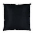 thumbnail image 2 of Star Wars Black Large Empire 25" square pillow, 2 of 7