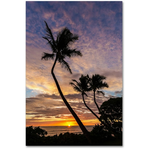 Trademark Fine Art 'Kauai Sunrise' Canvas Art by Pierre Leclerc