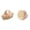 B & C, variant on MOPOOR Dry Brushing Body Brush, Natural Boar Bristle Dry Brush, Bamboo Exfoliating Body, Face, Foot, Long Handle Back Scrubber Brush, Meridian Pressure for Exfoliates & Stimulates Blood Circulation