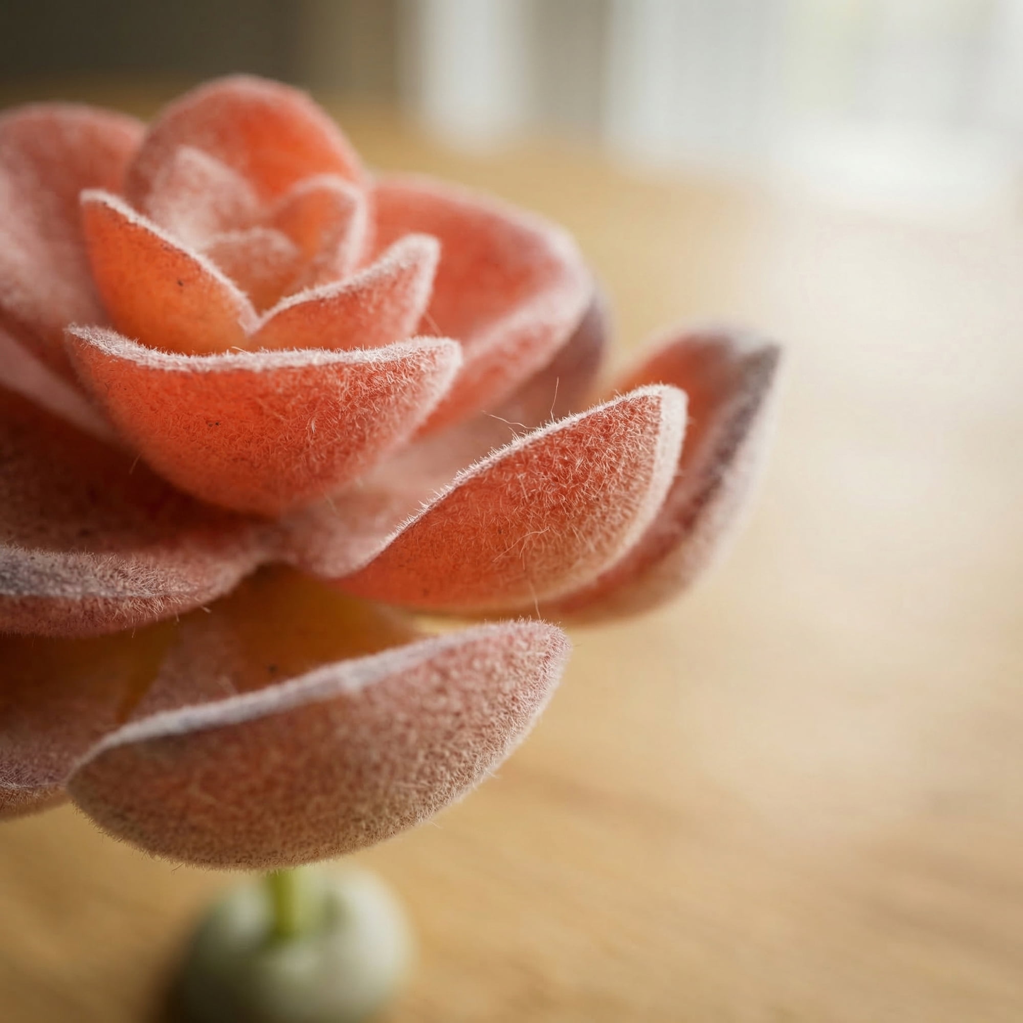 Unique Bargains 10Pcs Flocked Artificial Succulents Rose 3.5" Lotus Pink