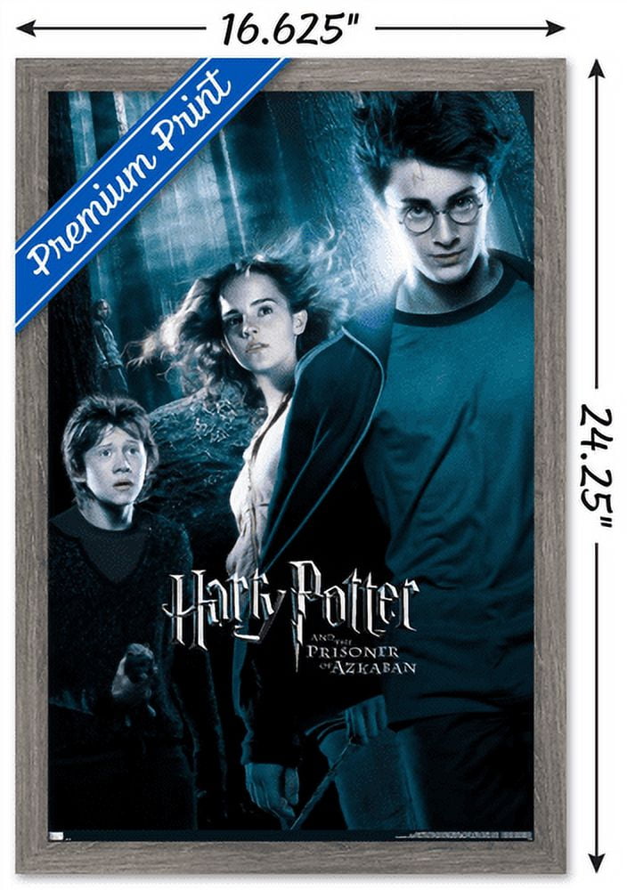 Harry Potter and the Prisoner of Azkaban - Forest One Sheet Wall Poster, 14.725" x 22.375", Framed
