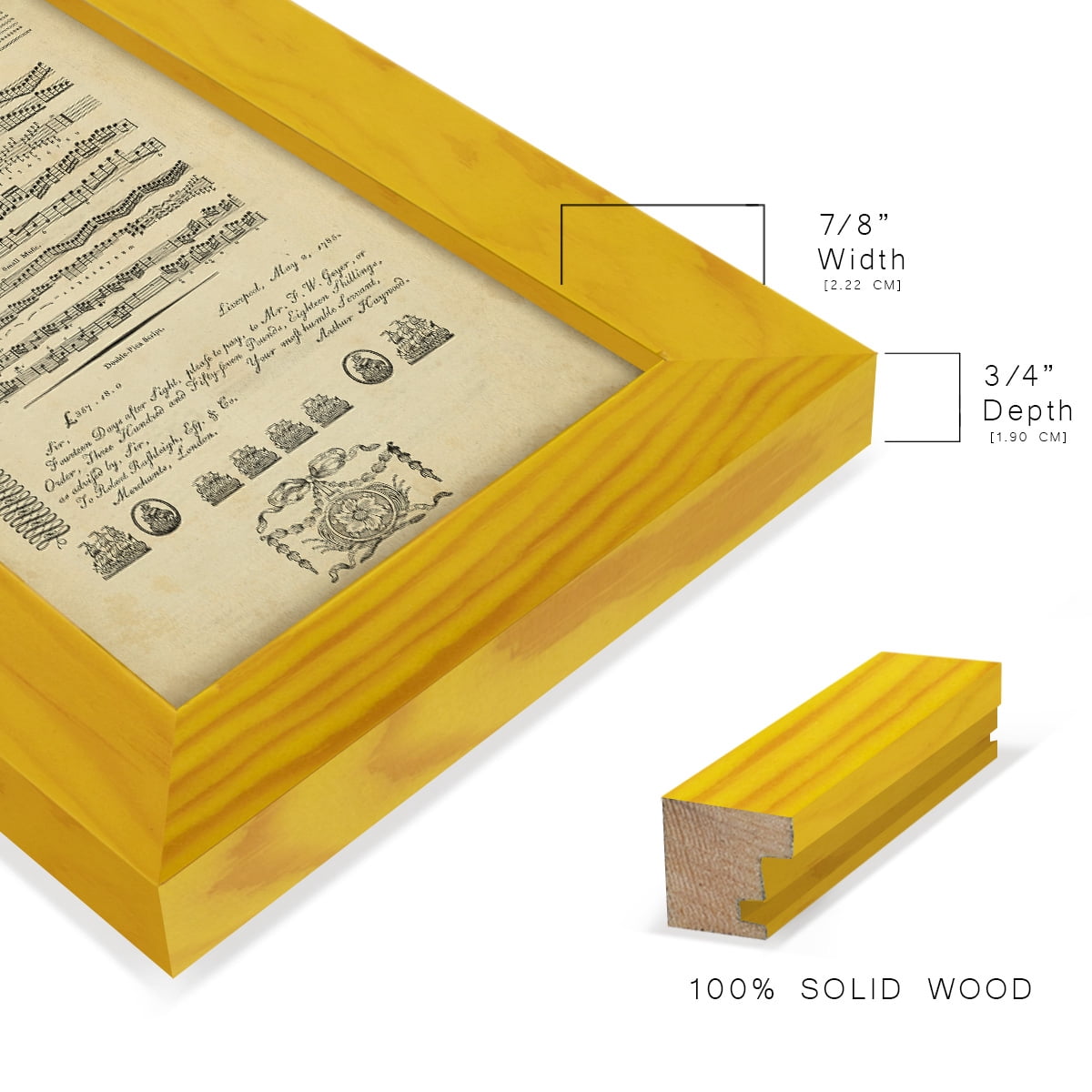 Deckled Encyclopediae V (AS) -Framed Print w/glass-Sunflower Yellow