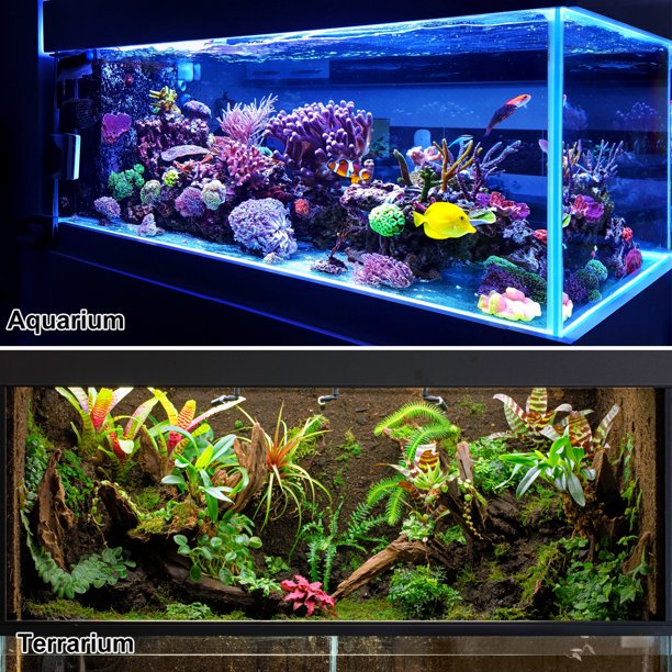 Home hot sale bargains aquarium