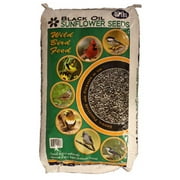 Jrk Seed & Turf Supply B200040 40 lbs. Black Sunflower Food
