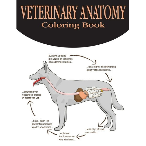 Veterinary Anatomy Coloring Book : Anatomy Magnificent Learning Structure for Students & Even Adults .Vol-1 (Paperback)
