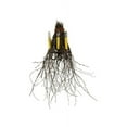thumbnail image 2 of Meyda 147147 20 in. Twigs 3 Light Wall Sconce, Timeless Bronze - Rustic Lodge, 2 of 2