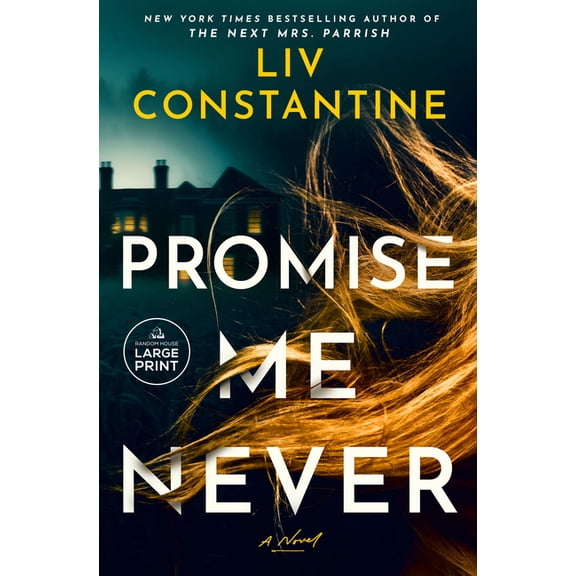Promise Me Never, (Paperback)