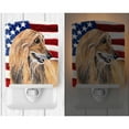 thumbnail image 2 of Carolines Treasures SC9506CNL Afghan Hound USA Patriotic American Flag Ceramic Night Light 6x4x3" multicolor, 2 of 2