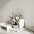 thumbnail image 5 of KBHOMFRA Reed Diffuser 3.38fl.oz Jasmine Scent Home Fragrance Essential Oil, 5 of 9