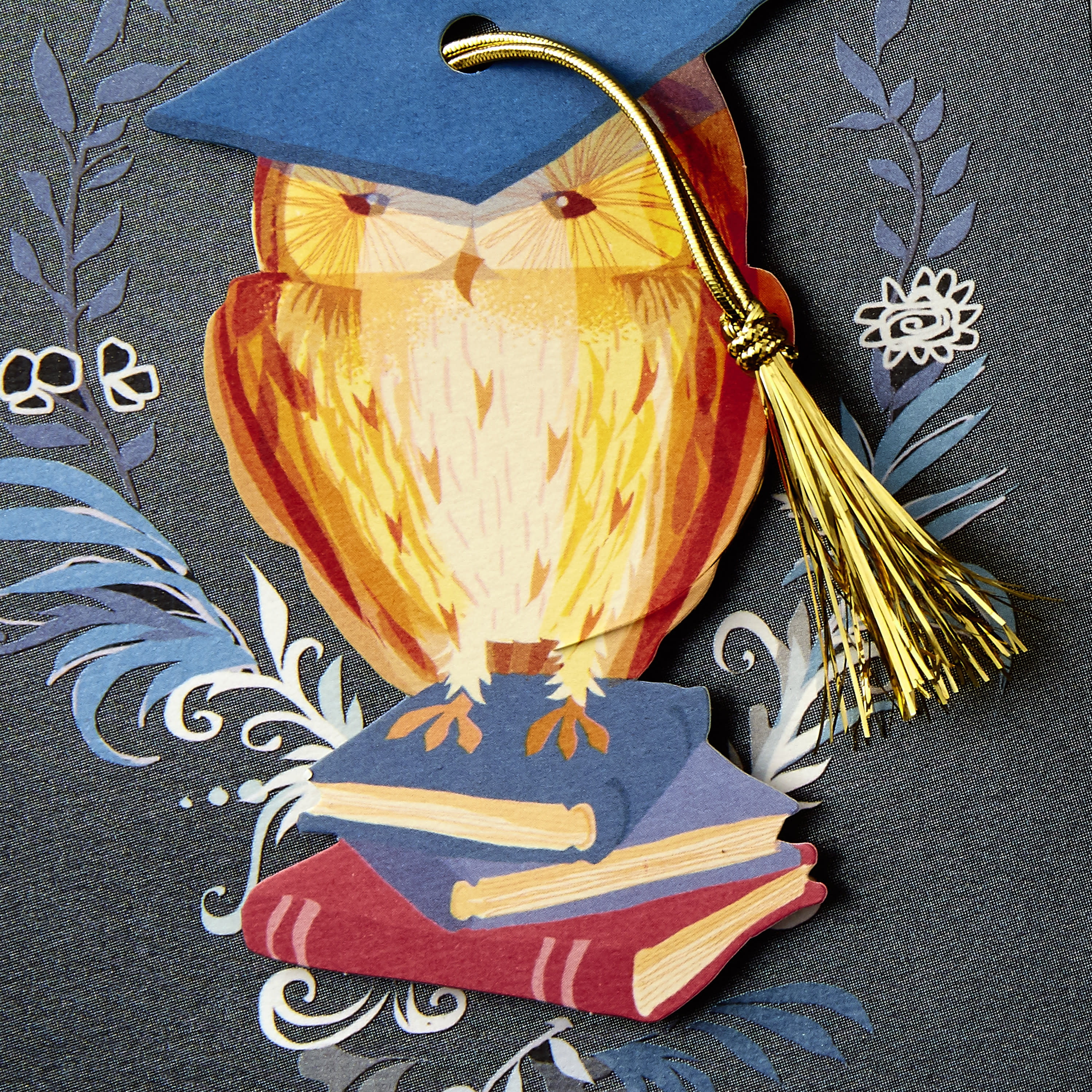 Hallmark Money Holder Graduation Greeting Card (Wisdom, Confidence and Determination)