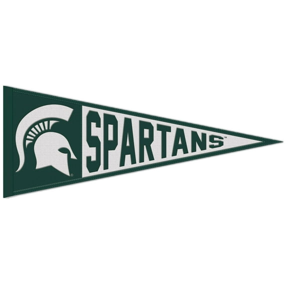 WinCraft Michigan State Spartans 13'' x 32'' Logo Pennant