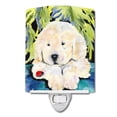 thumbnail image 1 of Carolines Treasures SS8271CNL Golden Retriever Ceramic Night Light, 1 of 2