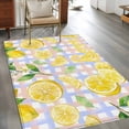 thumbnail image 2 of Watercolor Lemons Area Rugs 2.7'x5', Washable Small Throw Rugs for Kitchen Bedroom, Summer Purple Pink Buffalo Plaid Indoor Outdoor Rug Non-Slip Low Pile Carpet Runner Reversible Floor Mats, 2 of 8