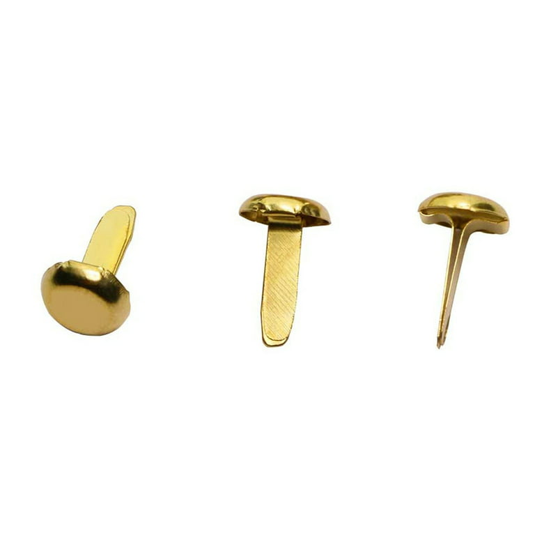 1/2 Inch Brass Paper Fasteners, Mini Paper Fasteners for Handicraft  Projects, Decorative , 8 x 14 mm (Gold) 
