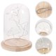 thumbnail image 4 of Glass Dome Lamp Bell Jar Display Dome Wooden Base String USB LED Warm White Light Bedside Table Lamp with LED Warm Fairy Starry String Lights (Warm Wh, 4 of 4