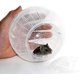thumbnail image 5 of New Silent Hamster Mini Running Activity Exercise Ball 4.73 Inch Toy Transparent Hamster Ball Dog Special Toy Ball Small Animals Cage Accessories, 5 of 5