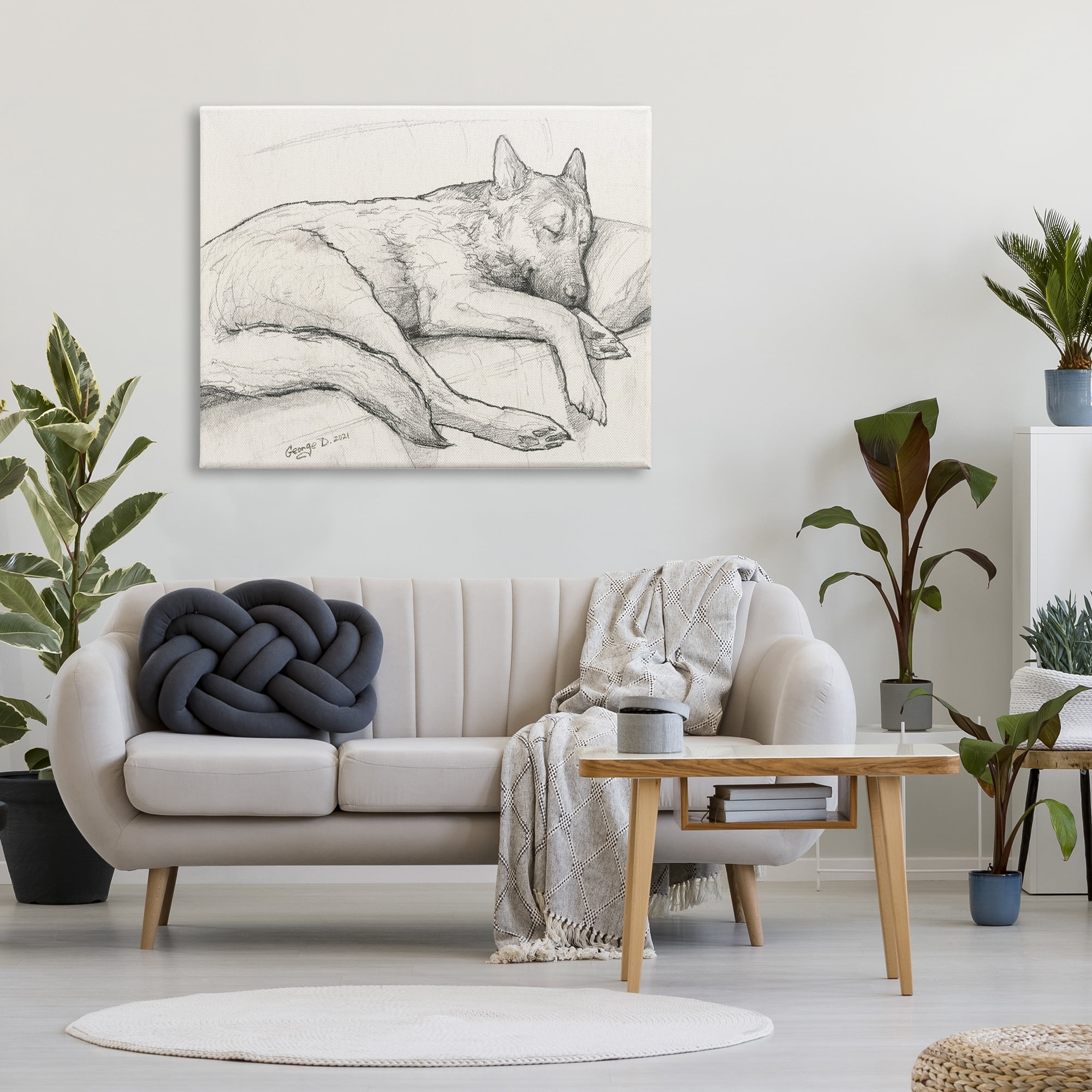 Stupell Industries Dog Curled Up Resting Detailed Graphite Pencil Drawing Drawing Print Gallery Wrapped Canvas Print Wall Art, Design by George Dyachenko