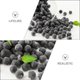 thumbnail image 5 of 30 piezas de arándanos falsos realistas, arándanos azules de simulación, frutas falsas de cocina, 5 of 5