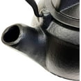 thumbnail image 4 of CUISILAND Théière/bouteille en Fonte 2 QT, 4 of 4