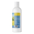 thumbnail image 3 of Shampoo para Mascotas Prevención Vibrant Life 500 ml, 3 of 4