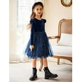 thumbnail image 3 of Arshiner Girls Fall Dress Toddler Tutu Velvet Tulle Winter Long Sleeve Formal Dresses, 3 of 9