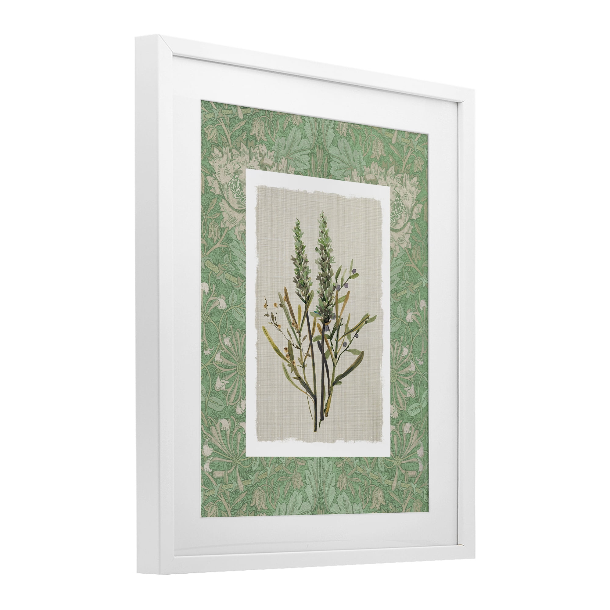 Stupell Industries Antique Foliage in Green White Framed Print Under Glass, design by Carol Robinson