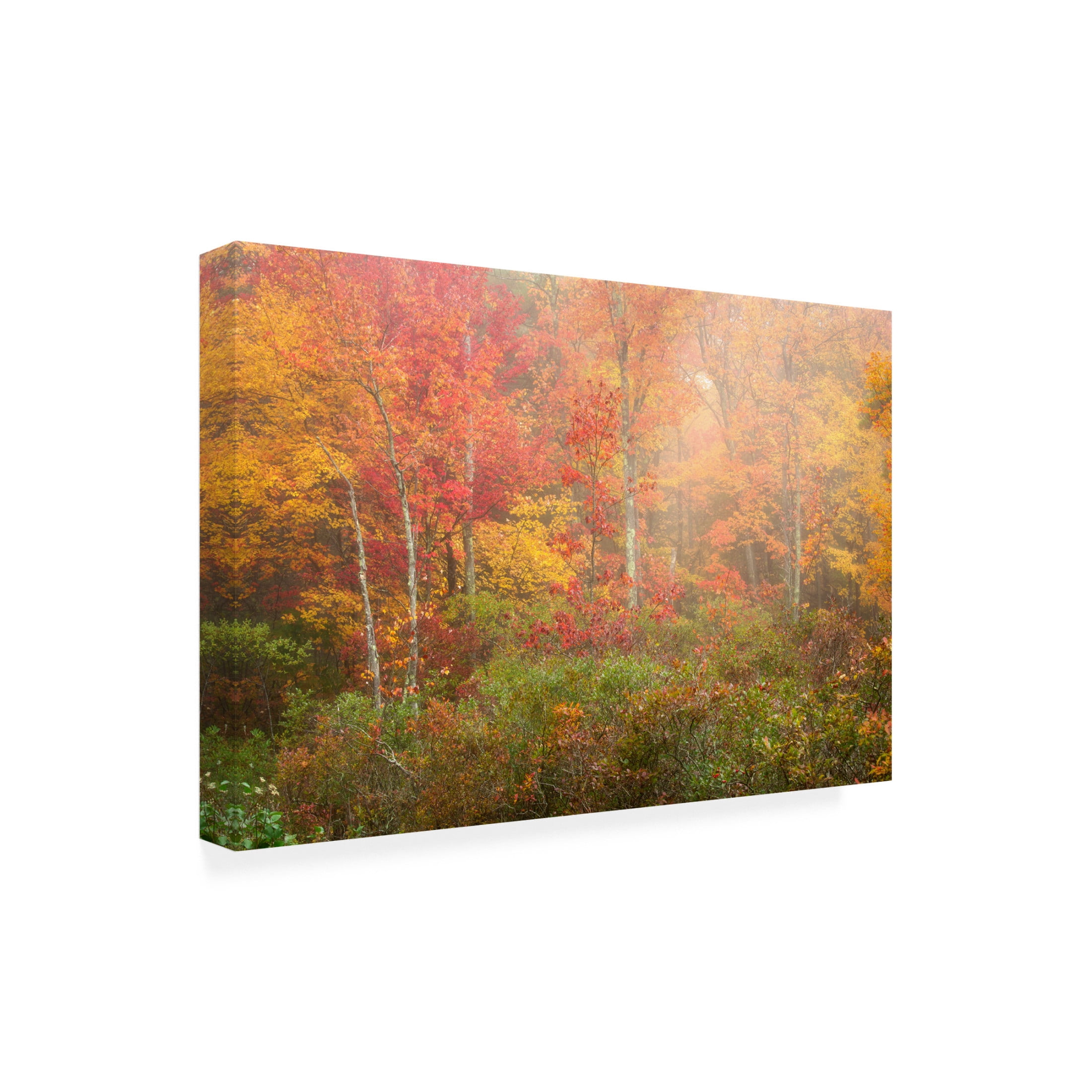 Canvas Wall Art - Patrick Zephyr 'Soft Pallet' Wall Art for Living Room, Bedroom, or Office Décor by Trademark Fine Art - 24 x 16 Inches