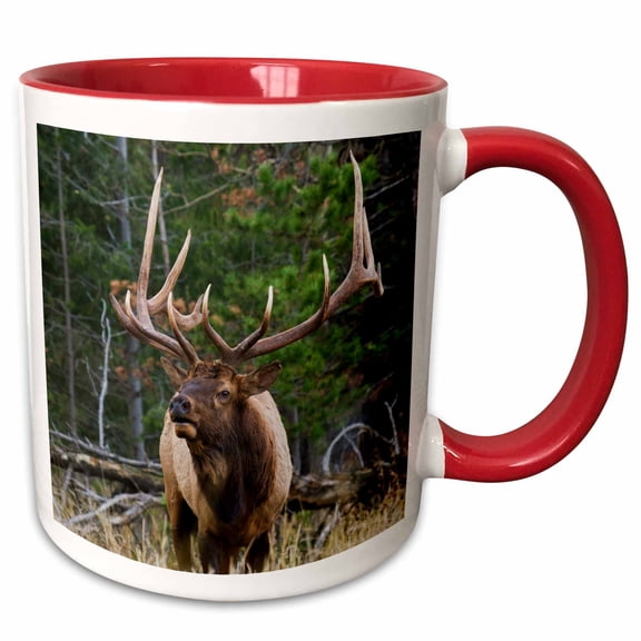 3drose, Majestic Bull Elk., 11oz Two-tone Red Mug