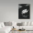 thumbnail image 3 of Trademark Fine Art 'Water Lily' Canvas Art by István Nagy, 3 of 3
