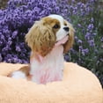 thumbnail image 2 of Cama para perros color champán, cómoda, redonda, suave, lavable, con cojín para gatos, camas para mascotas pequeñas y medianas, 2 of 5