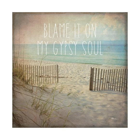 Trademark Fine Art 'My Gypsy Soul I' Canvas Art by Pela Studio