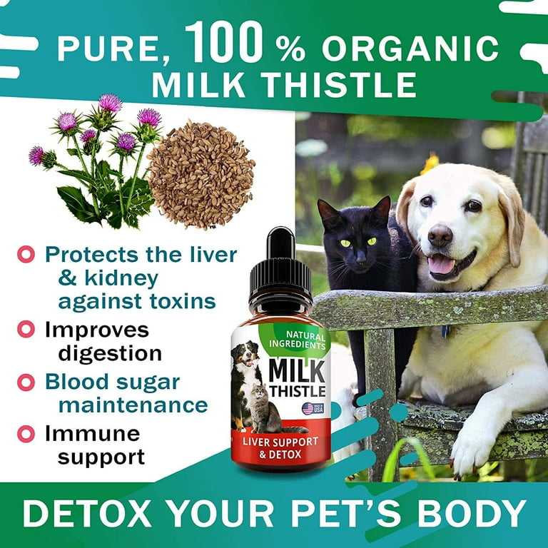 Liver Support Supplement for Dogs Cats Milk Thistle Liver Support Canine Hepatic Care Cat Dog Liver Cleanse Max Effect Liquid Drops