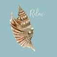 thumbnail image 2 of Jacobs, Cindy 12x12 Gold Ornate Wood Framed with Double Matting Museum Art Print Titled - Relax Seashell, 2 of 4