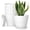 WHITE, variant on UOUZ 8-inch Plastic Plant Pots with Drainage Holes and Saucers, Indoor Outdoor Planters, 5-Pack,White