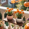 thumbnail image 3 of Mskk 7.1" Vintage Pumpkin Shape Planter Pot, Terracotta & Off White Flower Vase, Fall Halloween Decorative Container for Succulents Porch Table Decor, 3 of 5