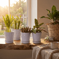 thumbnail image 5 of BUYMAX 5 inch Lavender Ceramic Plant Pots with Drainage Holes & Saucers, 4-Pack for Herbs, Cactus, Succulents, Home Office Decor, 5 of 9