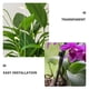 thumbnail image 3 of unbranded 10Ud Soportes Transparentes Para Plantas En Jardín Fácil Instalación Sin Herramientas, 3 of 8