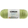 Caron Simply Soft Collection Yarn 24/Pk-Pistachio
