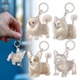 thumbnail image 1 of Keychain For Collecting Cat And Dog Hair Life Pendant For Dogs DIY Pet Kechain Pet Keepsake, 1 of 9