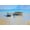Unframed, variant on Art.com Afternoon Gulls Art Print by Craig Trewin Penny, White Frame Wall Art, 23" x 17"
