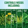 thumbnail image 5 of Roundup for Lawns Refill - Tough Weed Killer for Use on Northern Grasses, 1.25 gal. — Residential Use, Standard Application, 5 of 9