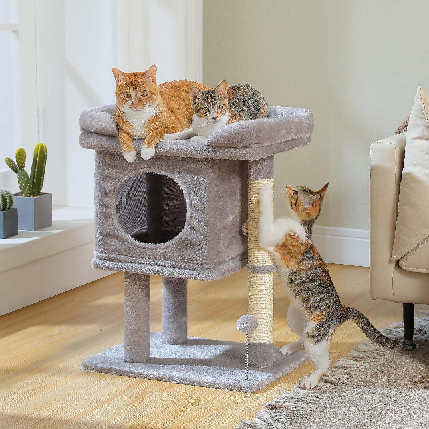 Cat Scratching Post Tower with Removable Bed, Play Ball, and Large Top Scratcher Pad for Kittens and Cats