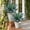 Green, variant on 20in Artificial Agave Plant, Green UV Resistant Fake Agave, Unpotted Small Faux Plant for Indoor Outdoor Decor
