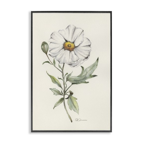 Stupell Industries Cottage Natural Wild Blossom Sprig Black Framed Giclee Art, 12 x 18, by Cady Driver