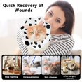 thumbnail image 3 of Miaocao Soft Adjustable Cat Cone Collar, Comfortable Cat Recovery Collar, 3 of 7
