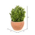 thumbnail image 2 of Vickerman Everyday 10" Indoor Artificial Green Boxwood Moderne Bush - Ceramic Container - Decorative Faux bush Of Durable Polyester - For Home Or Offi, 2 of 2