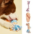 thumbnail image 2 of Pet Toy High Elasticity - Relieve Boredom Lightweight - Teething Indestructible - Pet Chewers Toys - Pet Toy, 2 of 8