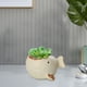 thumbnail image 1 of Maceta suculenta Soledad Cerámica Planta Adorno Bonsai para decoración de oficina escolar Escritorio blanco, 1 of 7